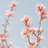 siseon_25_profile
