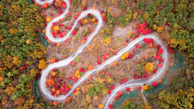 Winding road through colorful autumn forest