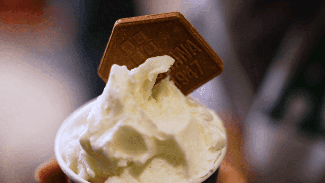 비스킷이 꽂힌 크림 젤라토