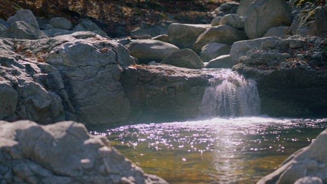 햇볕이 내리쬐는 숲 속 폭포
