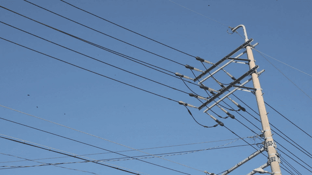 맑은 하늘을 배경으로 한 전선