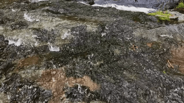 바위 위로 흐르는 고요한 시냇물