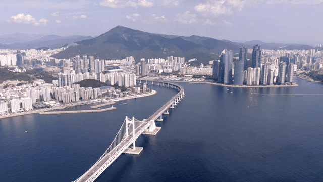 대형 다리가 있는 도시 전경