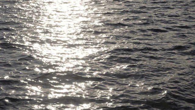 햇빛이 반사되는 잔잔한 바다 물결