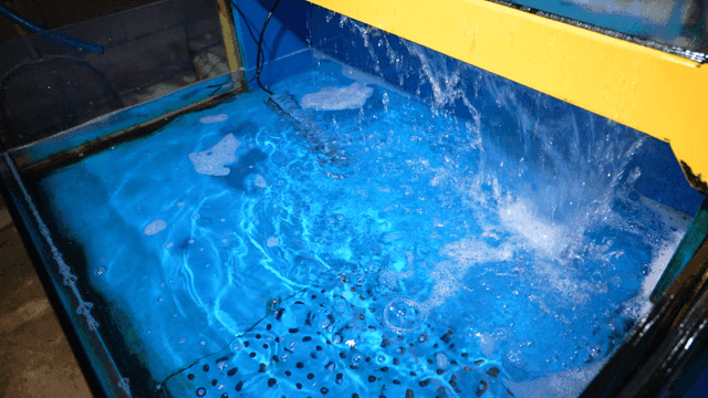 Blue aquarium with clear water flowing