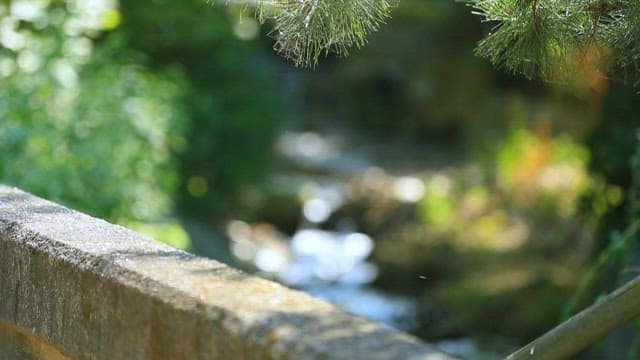 푸른 숲 속을 흐르는 작은 시내