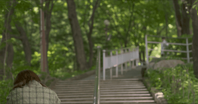 숲 속 계단을 오르는 사람