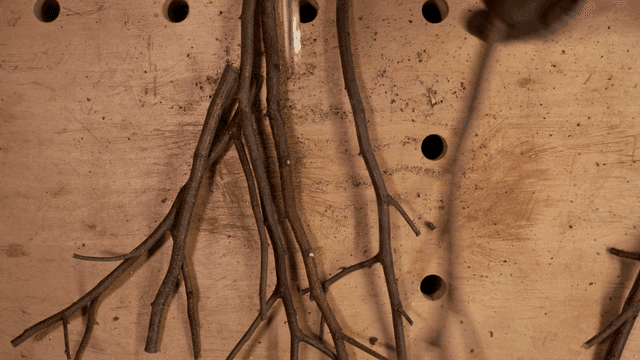 나무 테이블 위에서 잘려 정돈되는 가지들