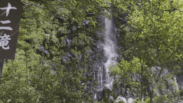푸른 숲으로 둘러싸인 폭포
