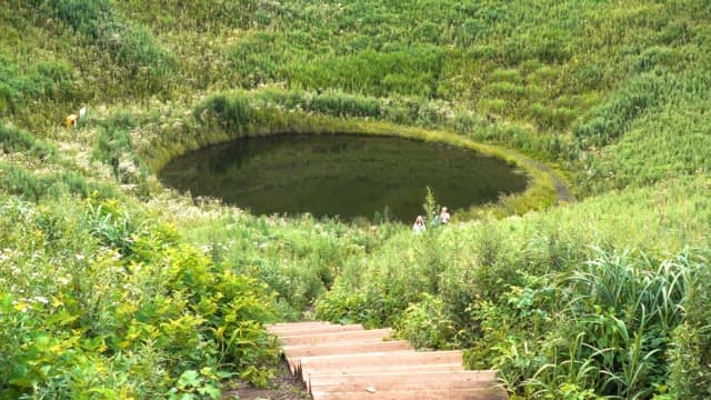 Small lake surrounded by lush greenery