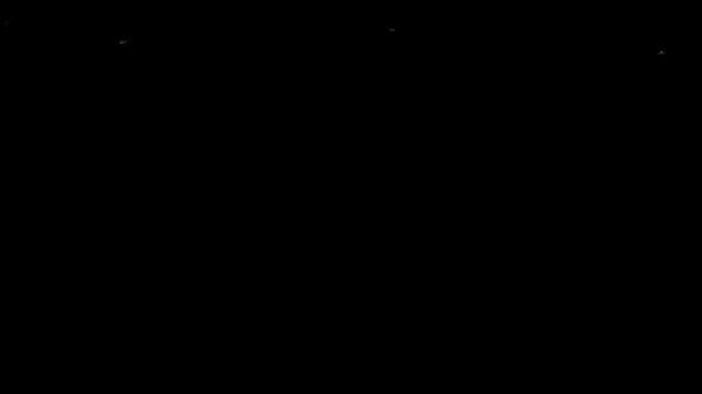 밤의 어둠을 밝히는 반딧불이 그래픽 효과