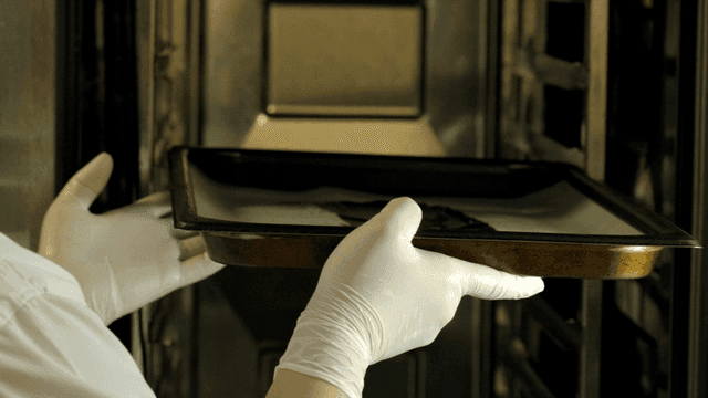 Gloved hands placing a tray in an oven