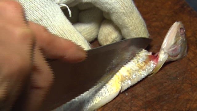 Sliced raw scaled sardine being prepared on a cutting board in a sushi restaurant kitchen