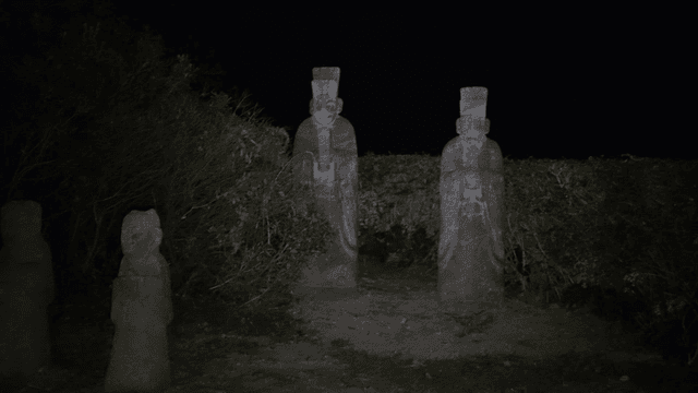 Stone statues in a garden at night
