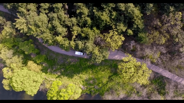 울창한 숲을 지나는 구불구불한 도로