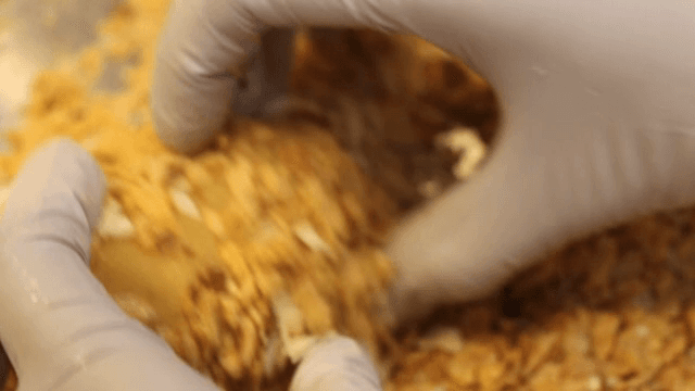 Attaching nuts to chicken leg shaped rice cakes