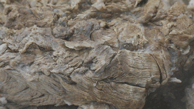 Close-up of cooked meat texture