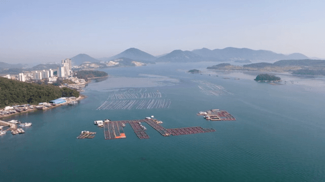 Coastal fish farm with a view of the city