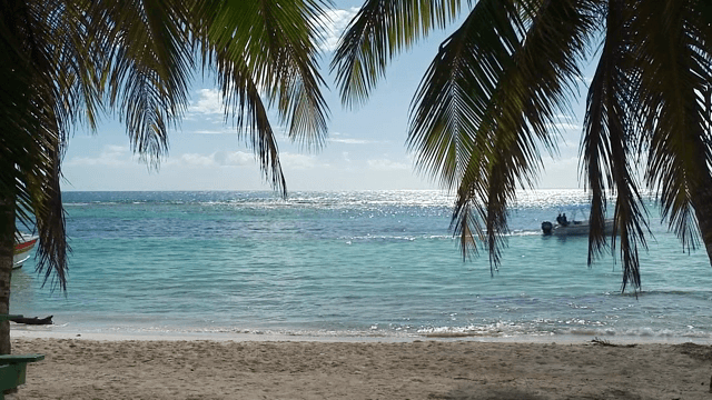 Serene beach with palm trees and a boat