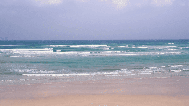 Quiet sandy beach with gentle waves