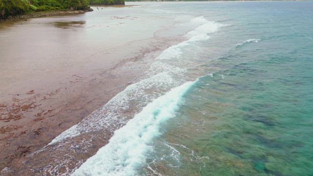 Waves gently lapping on a sandy beach