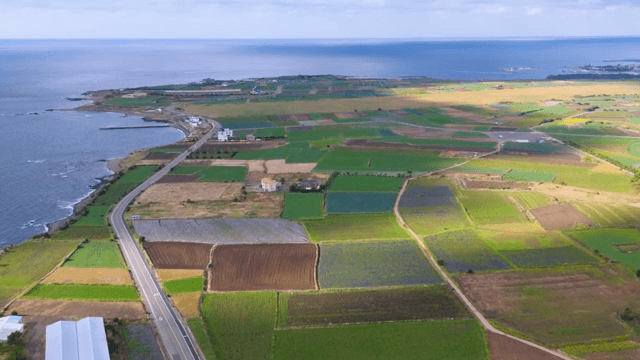 Coastal farmland with ocean view