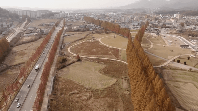 도로와 가을 나무가 있는 도시 풍경