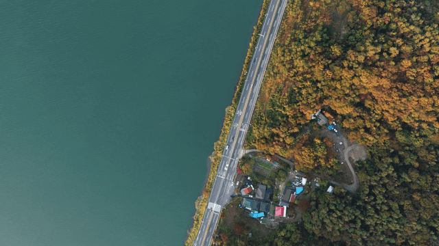 숲과 강 옆의 도로