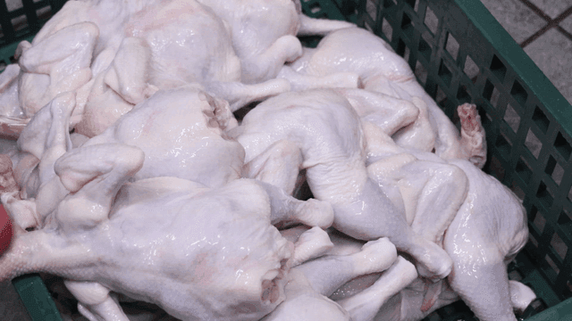 녹색 바구니에 쌓인 생닭들