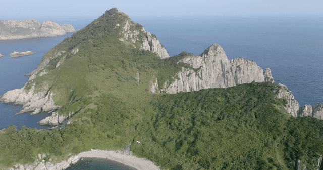 Aerial view of a lush green island
