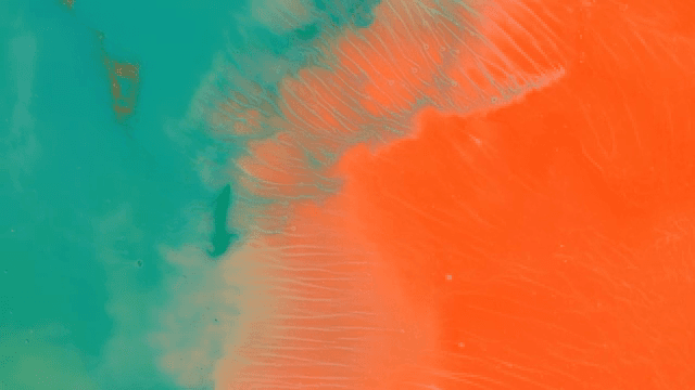 초록색과 붉은색 액체가 혼합되는 추상적인 패턴