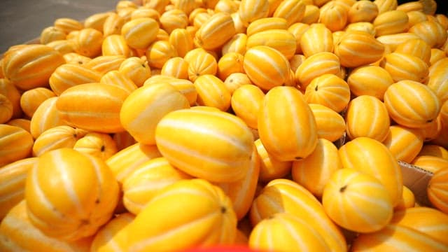 시장에 진열된 잘 익은 참외