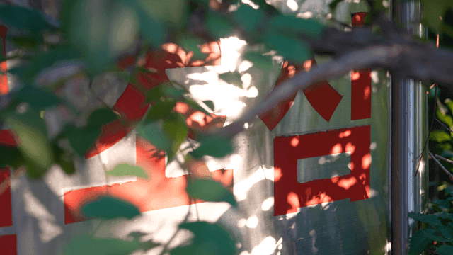 Warning sign seen between sunlight and leaves