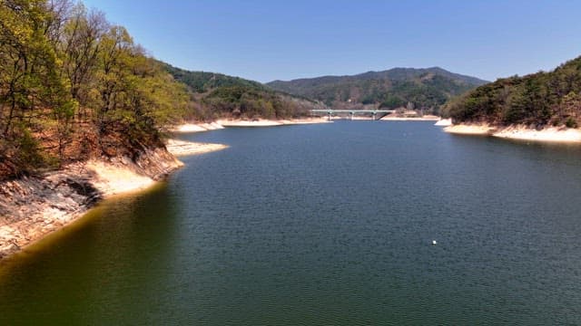 Tranquil lake surrounded by lush forests