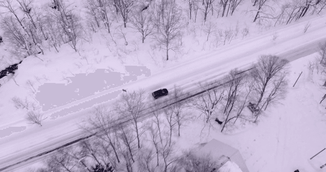 눈 덮인 숲을 달리는 자동차