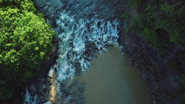 울창한 숲으로 둘러싸인 계곡
