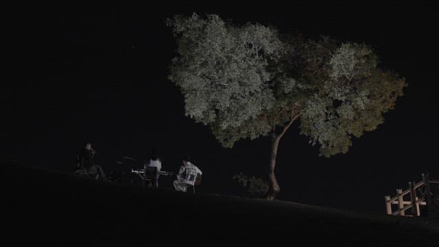 Musicians Performing Outdoors at Night