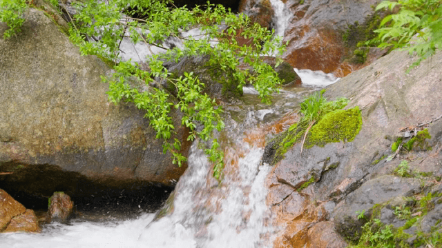 바위를 타고 흐르는 작은 폭포