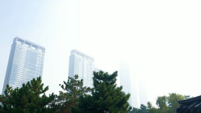 고층 건물 배경의 도심 공원 전통 정자