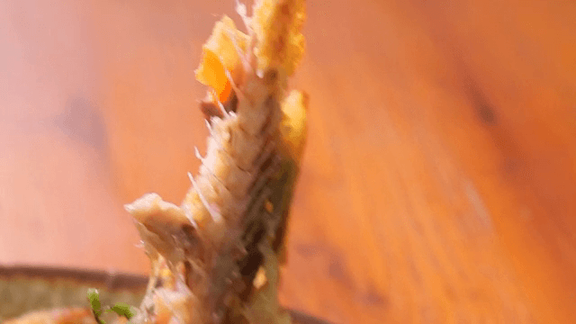 손으로 찢는 명태전