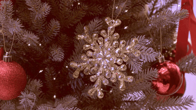 Christmas tree with ornaments