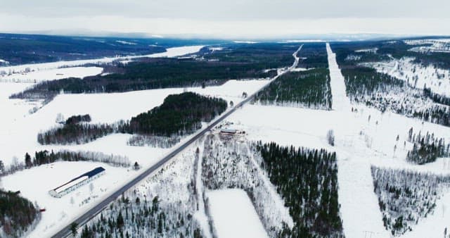 Snow-covered forest and winding road