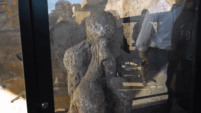 Ancient plaster remains in glass display case