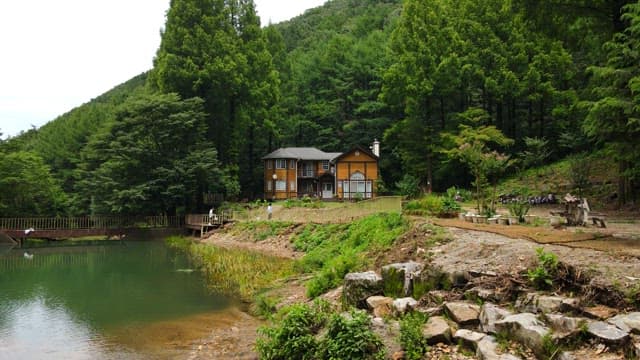 Secluded house surrounded by lush forest