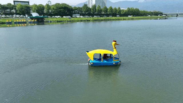 고요한 강 위의 오리배