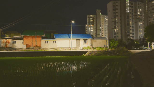 가로등이 있는 밤의 논 풍경