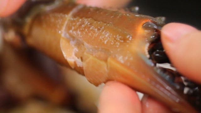 Fresh crab meat of soy sauce marinated crab being extracted