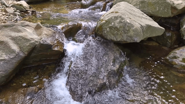 Flowing water over rocks in a stream