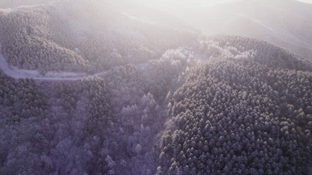 눈으로 덮인 아침 해가 드는 산의 풍경