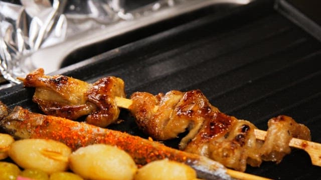 Various types of skewers grilled until golden brown